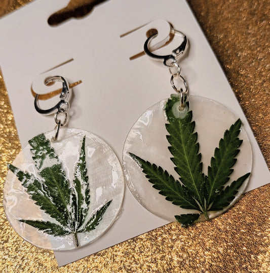 Circle Cannabis Leaf Earrings